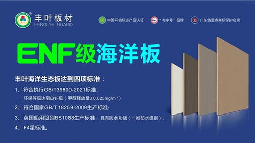 豐葉板材強勢登陸高鐵傳媒春節檔，開啟品牌推廣新篇章