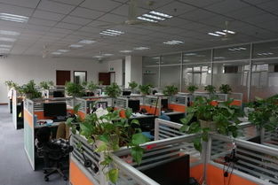 看準(zhǔn)網(wǎng) 技術(shù)驅(qū)動(dòng)下的網(wǎng)絡(luò)科技開(kāi)發(fā)與運(yùn)營(yíng)