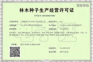 廣西打造24小時 不打烊 網(wǎng)上政府